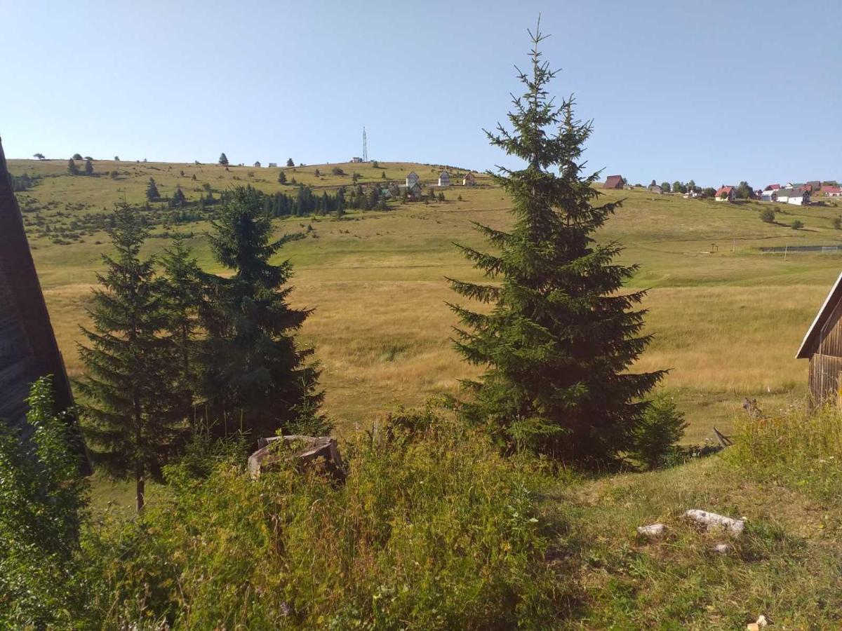 Appartamento Durmitor Žabljak Esterno foto