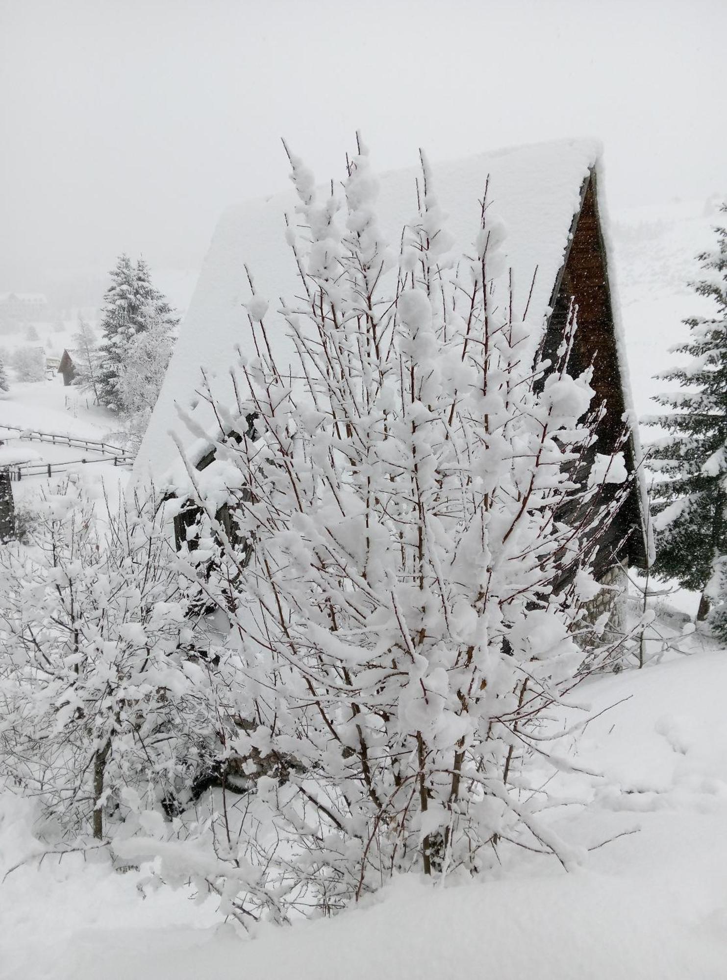 Appartamento Durmitor Žabljak Esterno foto