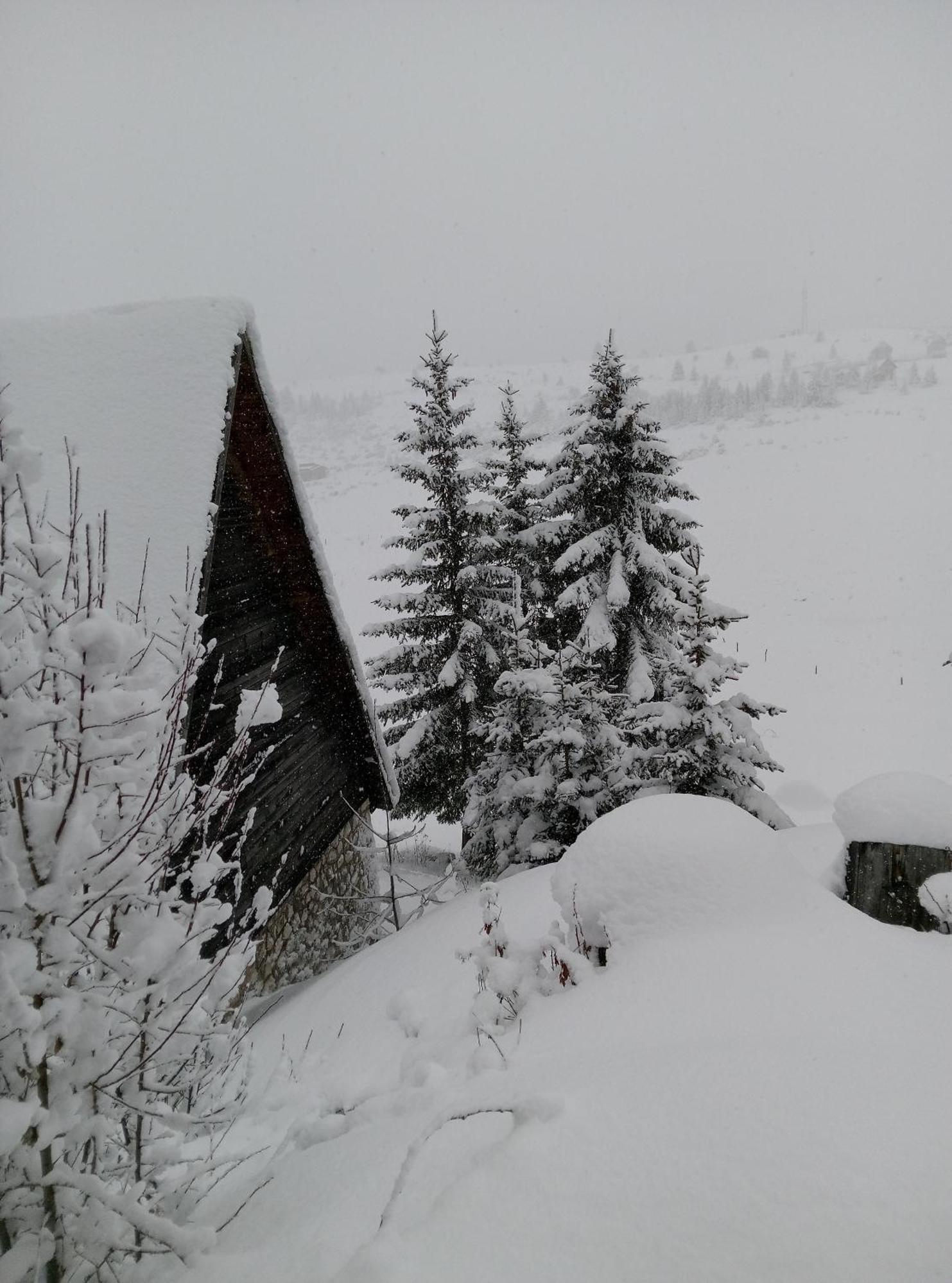 Appartamento Durmitor Žabljak Esterno foto