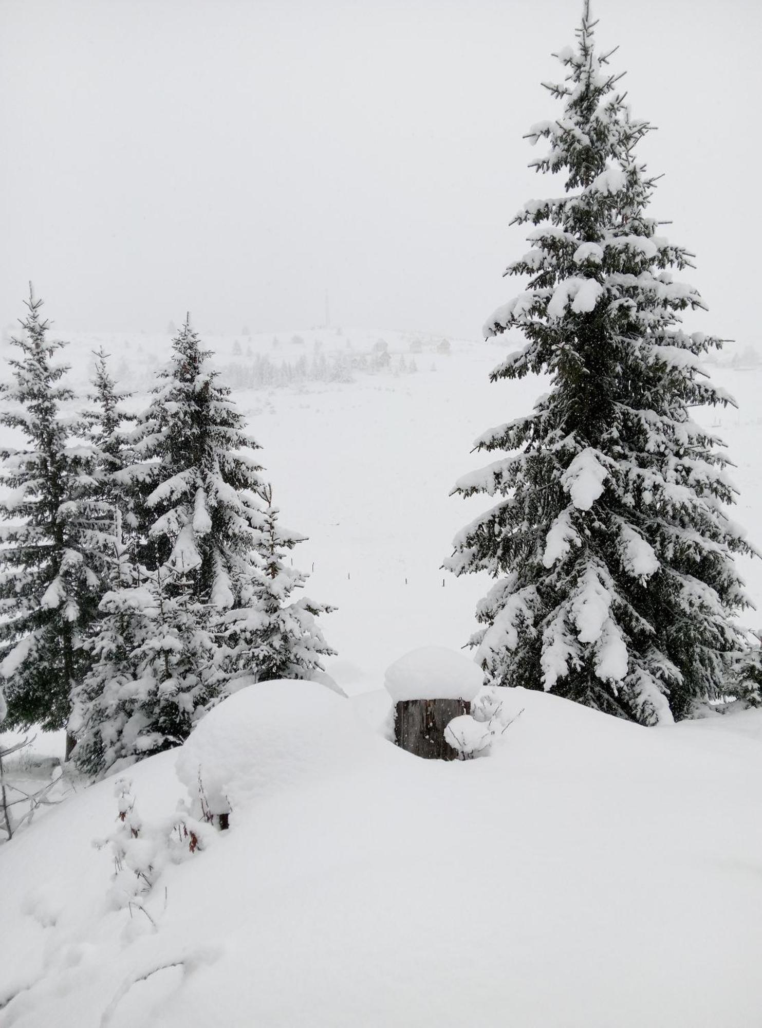 Appartamento Durmitor Žabljak Esterno foto