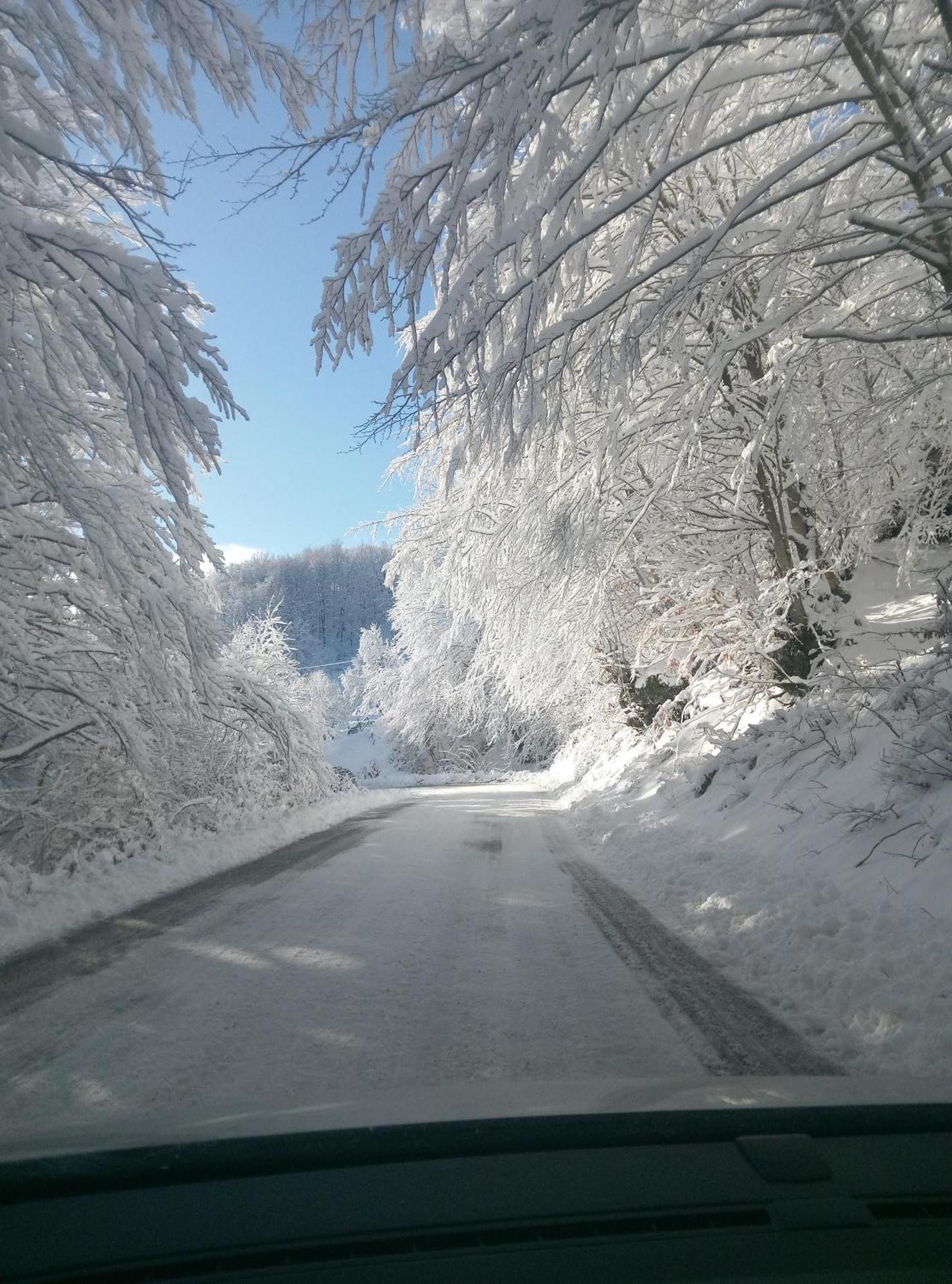 Appartamento Durmitor Žabljak Esterno foto