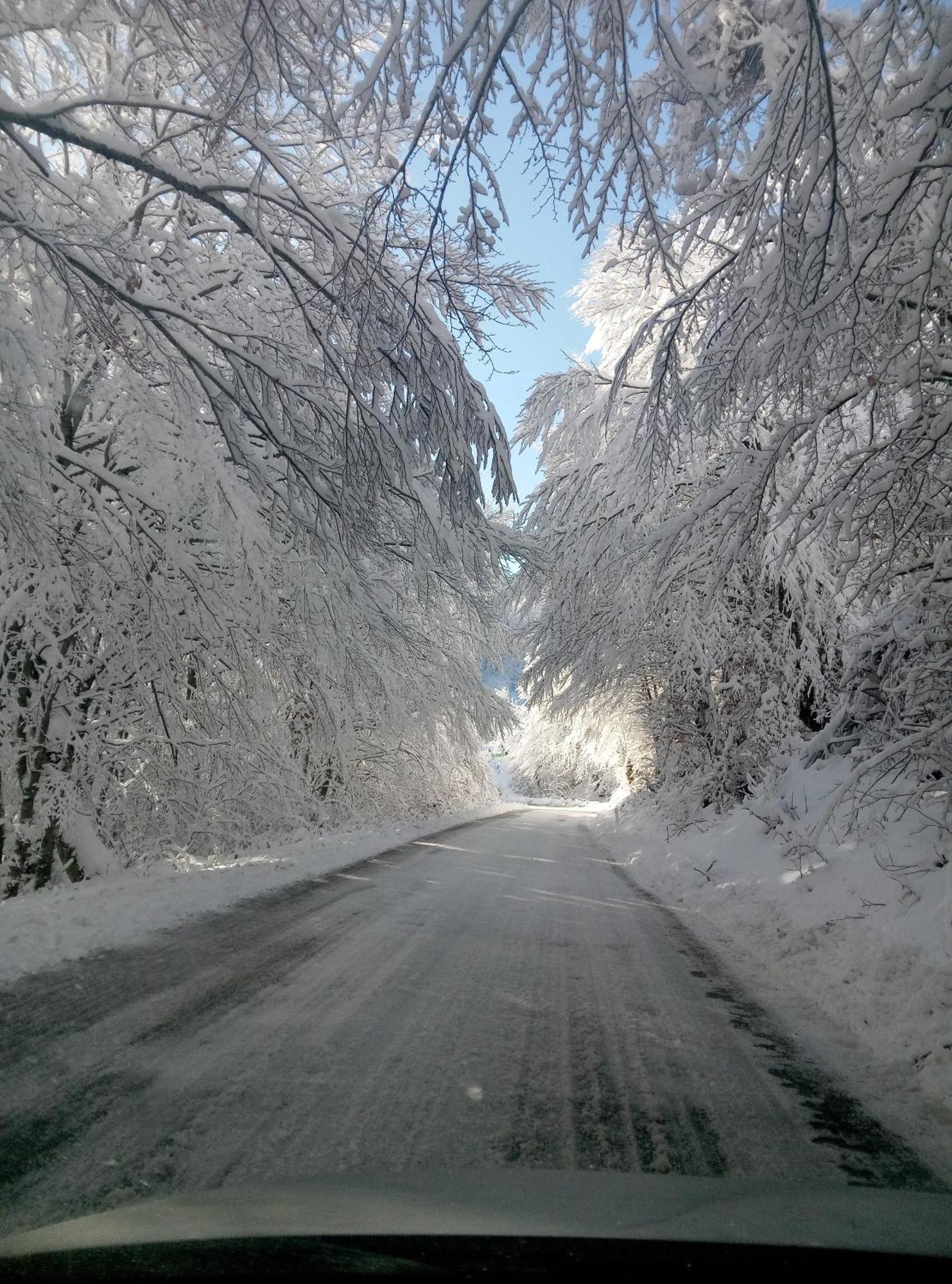 Appartamento Durmitor Žabljak Esterno foto